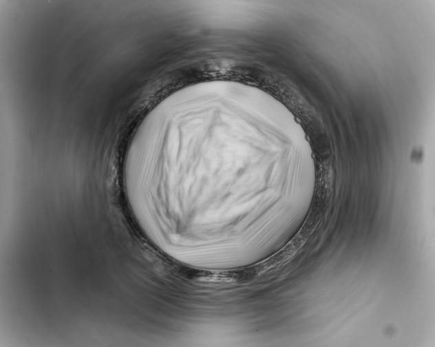 X0000101960754200808151315