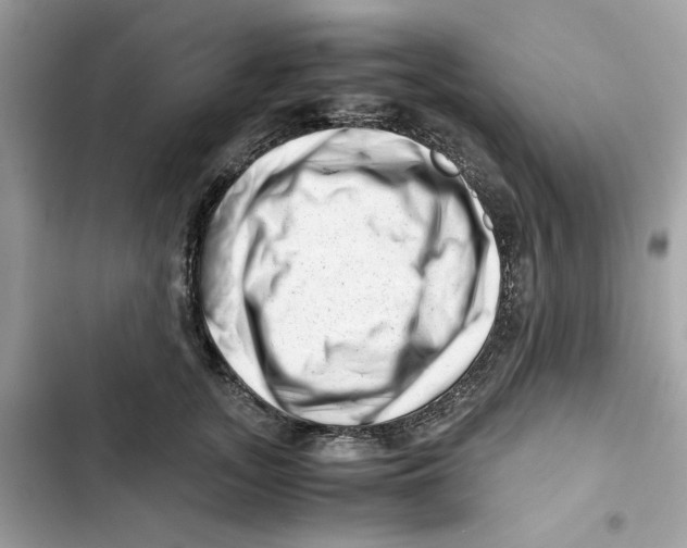 X0000101960755200808151315