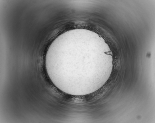 X0000101960756200808151315
