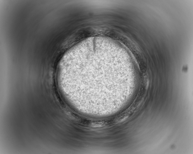 X0000101960757200808151315