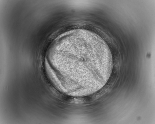 X0000101960758200808151315