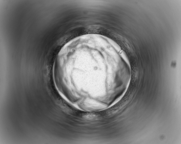 X0000101960759200808151315
