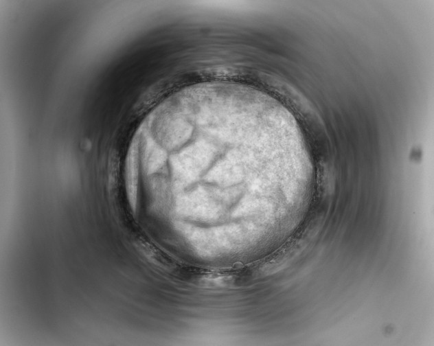 X0000101960760200808151315
