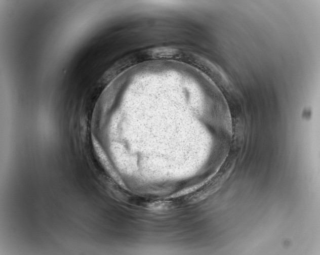 X0000101960761200808151315