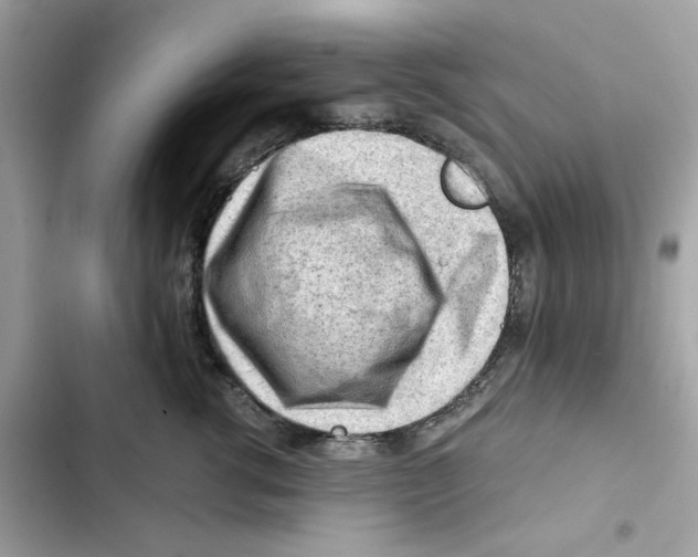 X0000101960762200808151315