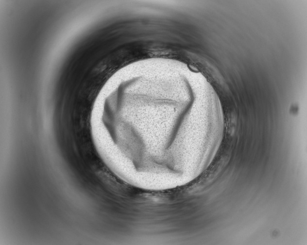 X0000101960763200808151315