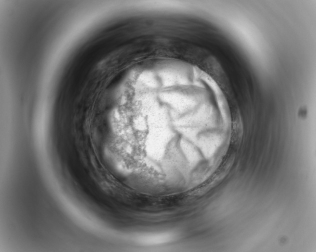X0000101960765200808151315