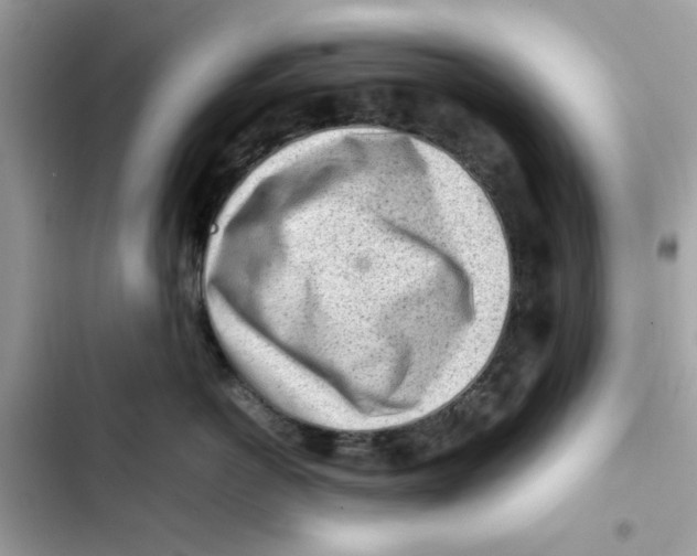 X0000101960766200808151315