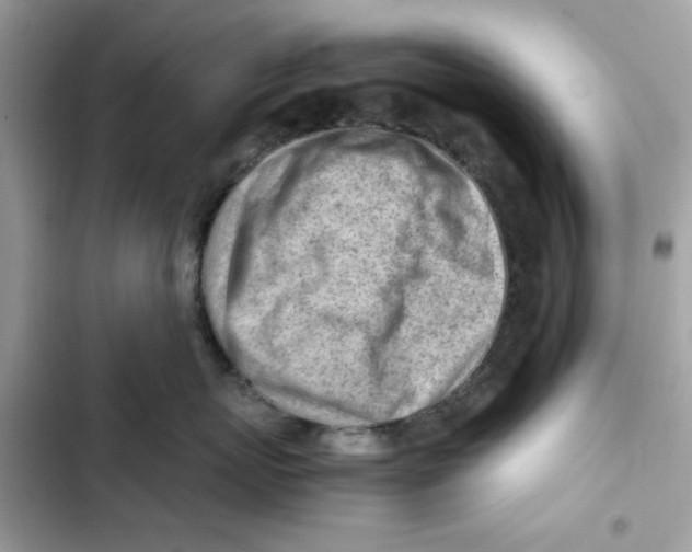X0000101960767200808151315