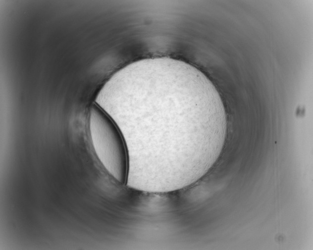 X0000101960768200808151315