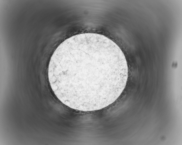 X0000101960769200808151314