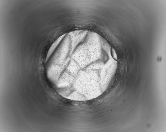 X0000101960770200808151314