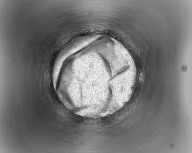 X0000101960771200808151314