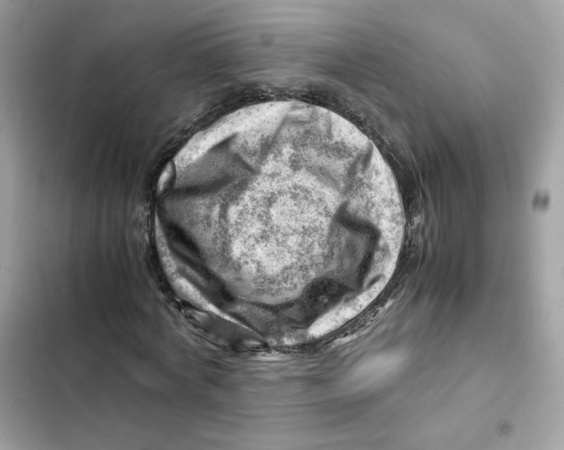 X0000101960772200808151314