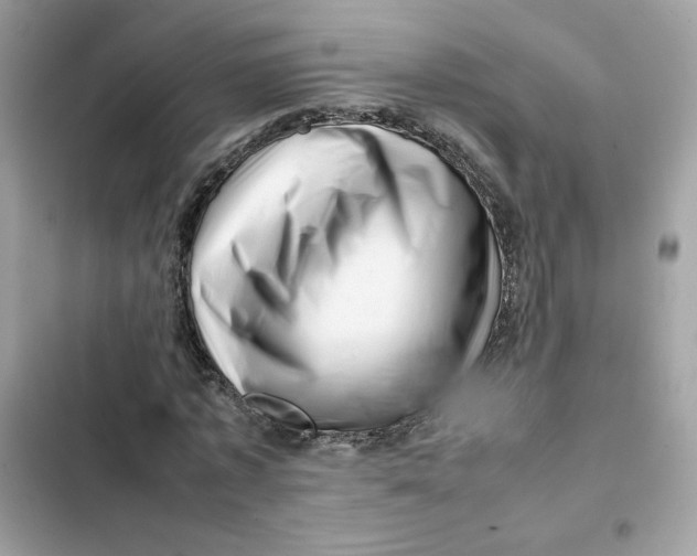 X0000101960773200808151314