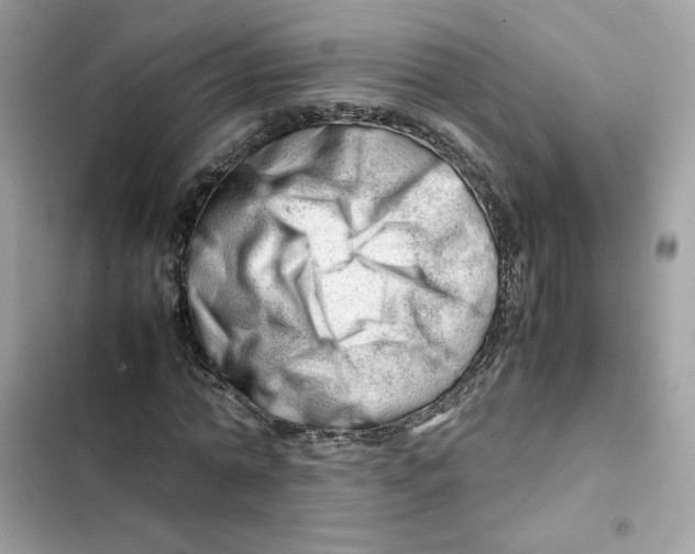 X0000101960774200808151314