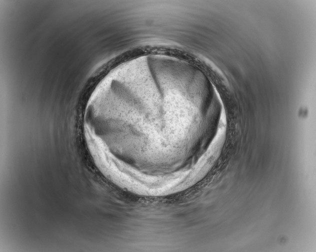 X0000101960775200808151314