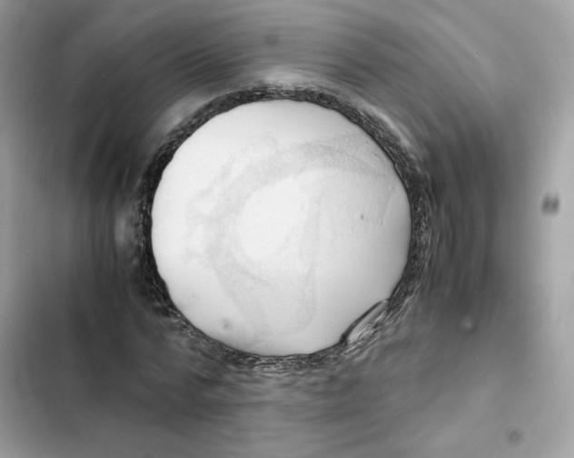 X0000101960776200808151314