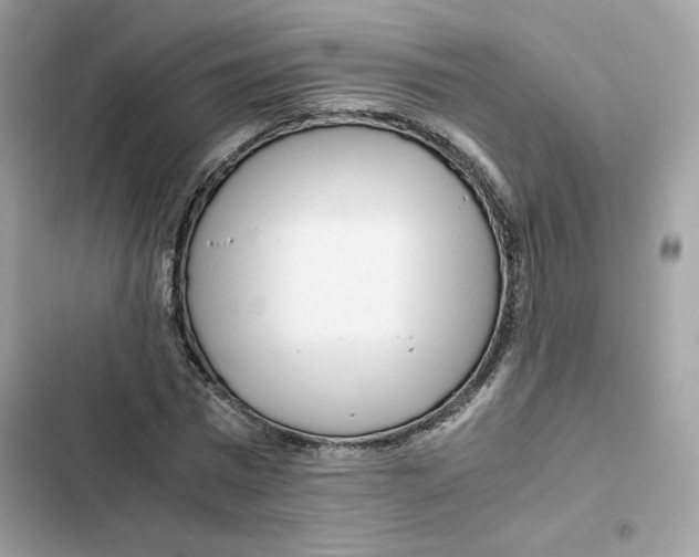 X0000101960777200808151314