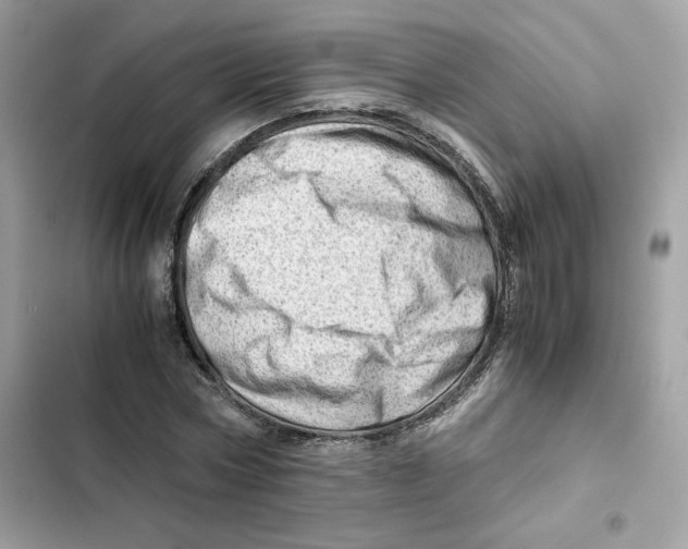 X0000101960778200808151314