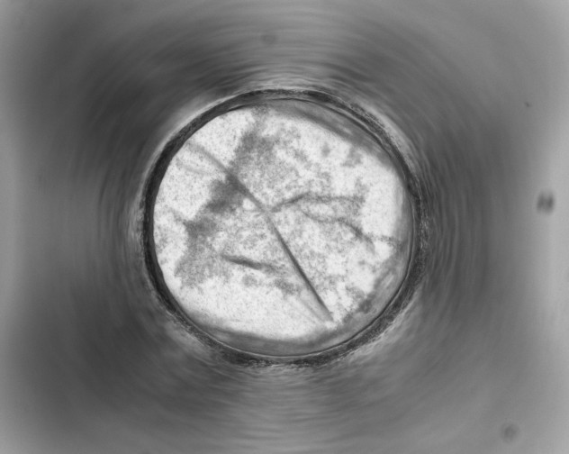 X0000101960779200808151314