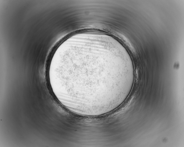 X0000101960780200808151314
