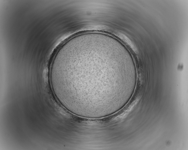 X0000101960781200808151314