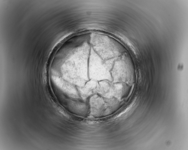 X0000101960782200808151314