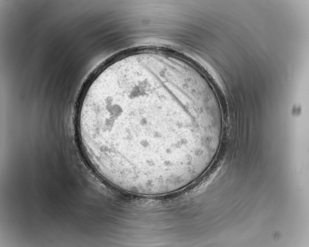 X0000101960783200808151314