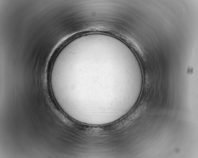 X0000101960784200808151314