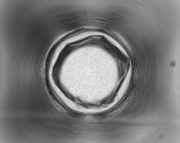 X0000101960787200808151314