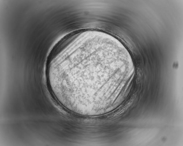 X0000101960788200808151314