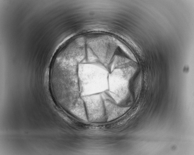 X0000101960790200808151314