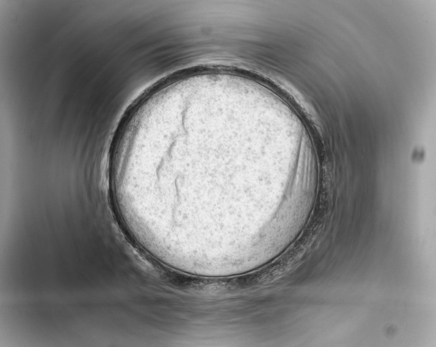X0000101960791200808151314