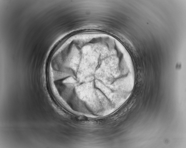 X0000101960792200808151314