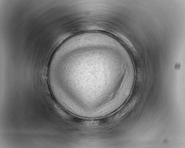 X0000101960793200808151314