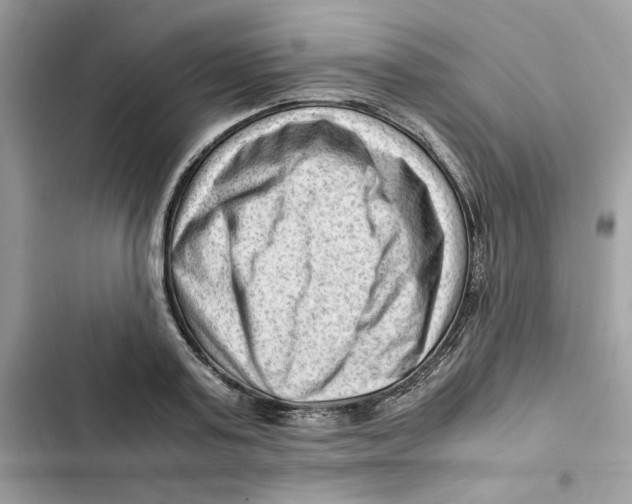 X0000101960795200808151314