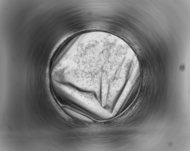 X0000101960796200808151314