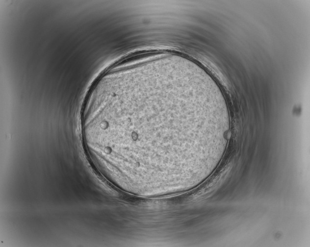 X0000101960797200808151314