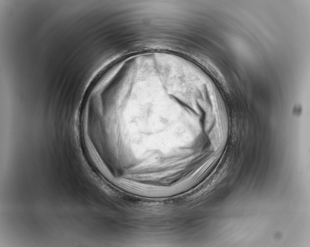 X0000101960798200808151314