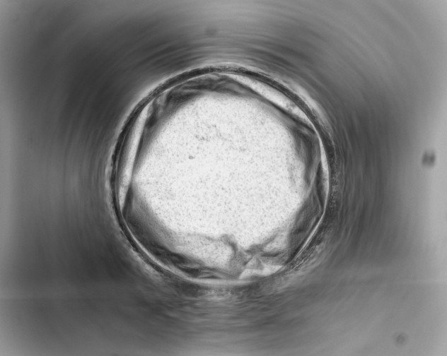 X0000101960799200808151314