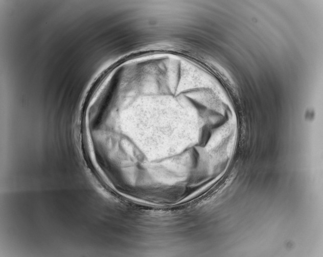 X0000101960800200808151314