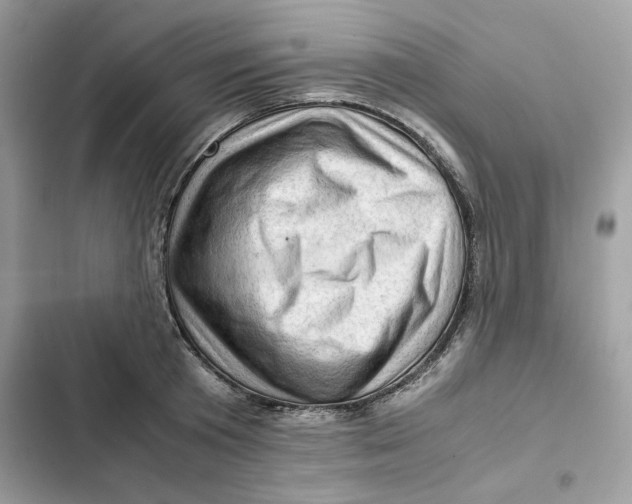 X0000101960801200808151314