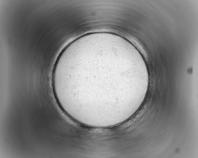 X0000101960805200808151314