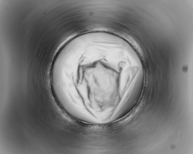 X0000101960806200808151314