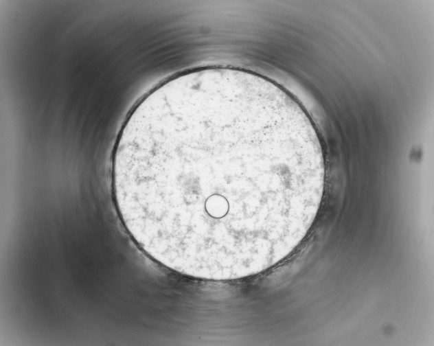 X0000101960807200808151314