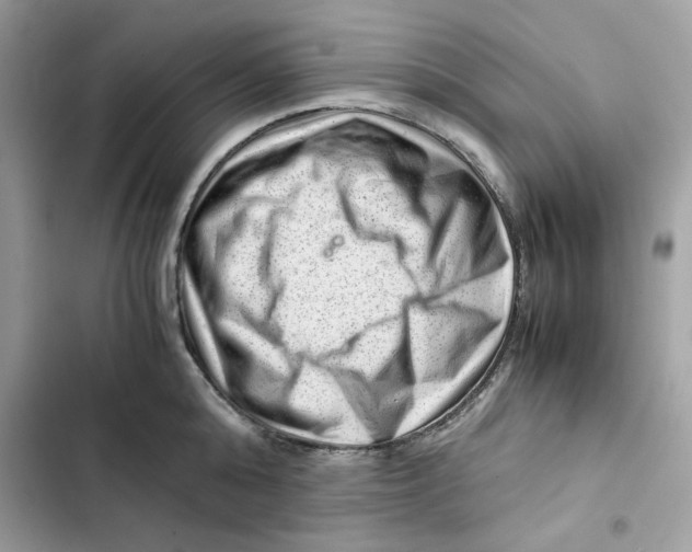 X0000101960808200808151314