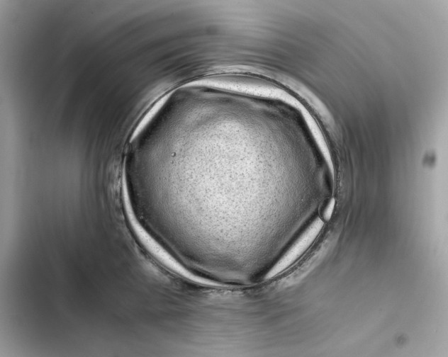 X0000101960809200808151314