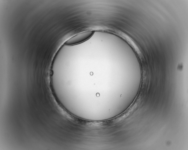 X0000101960810200808151314