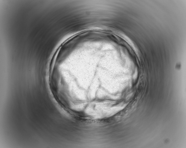 X0000101960811200808151314